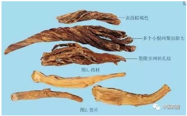 容易读错的药名系列——秦艽(qín jiāo),秦地之草